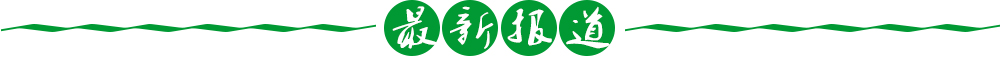 最新報(bào)道